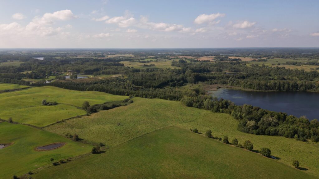 Działki na Mazurach – Elganowo, gm. Pasym, 10 ar - zdjęcie 11