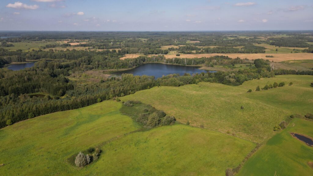 Działki na Mazurach – Elganowo, gm. Pasym, 10 ar - zdjęcie 12
