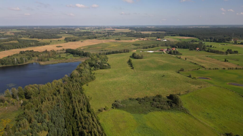 Działki na Mazurach – Elganowo, gm. Pasym, 10 ar - zdjęcie 14