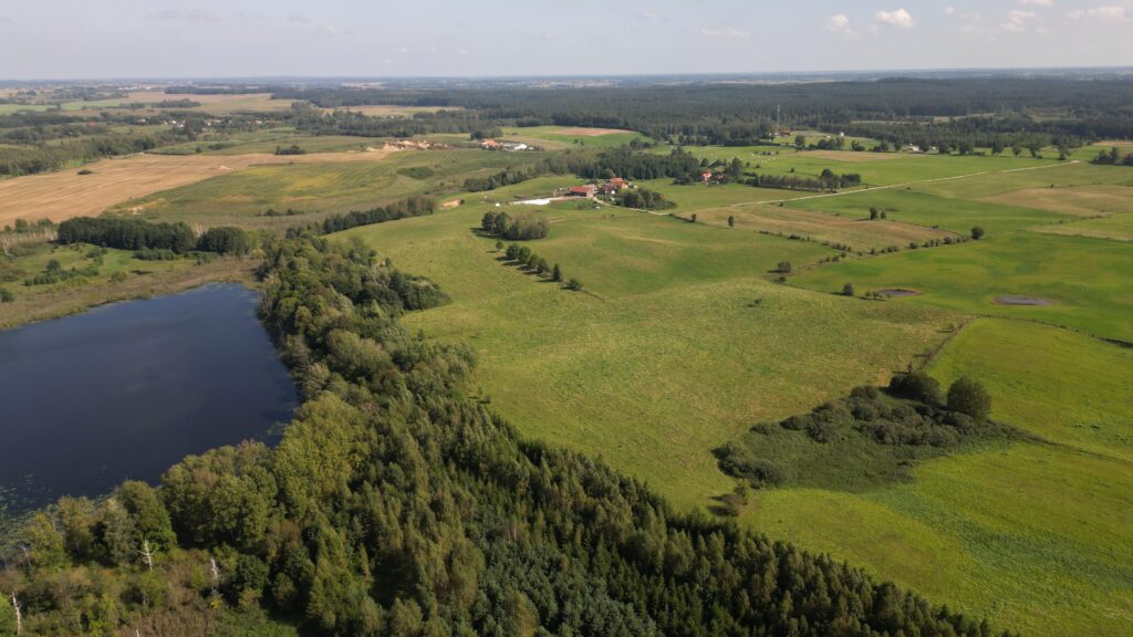Działki na Mazurach – Elganowo, gm. Pasym, 10 ar - zdjęcie 16