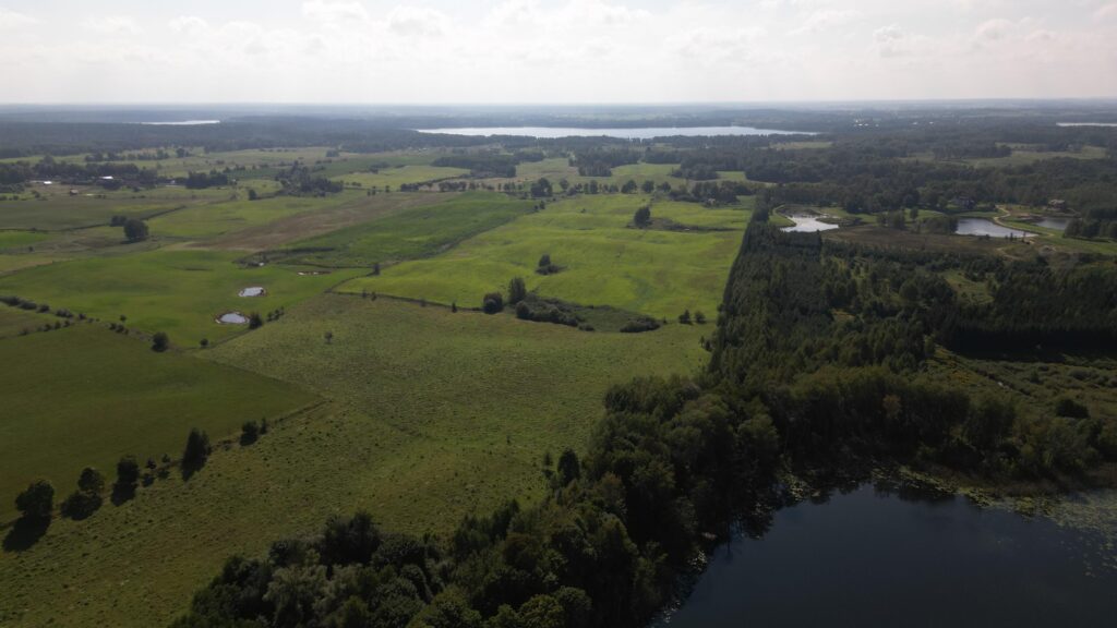 Działki na Mazurach – Elganowo, gm. Pasym, 10 ar - zdjęcie 17