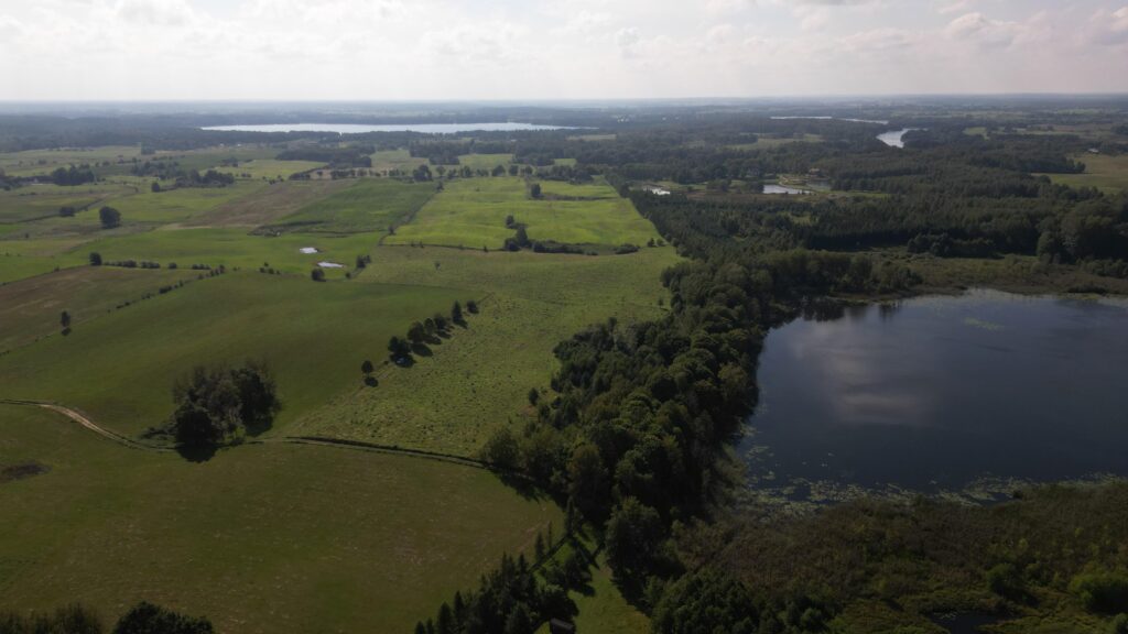 Działki na Mazurach – Elganowo, gm. Pasym, 10 ar - zdjęcie 18