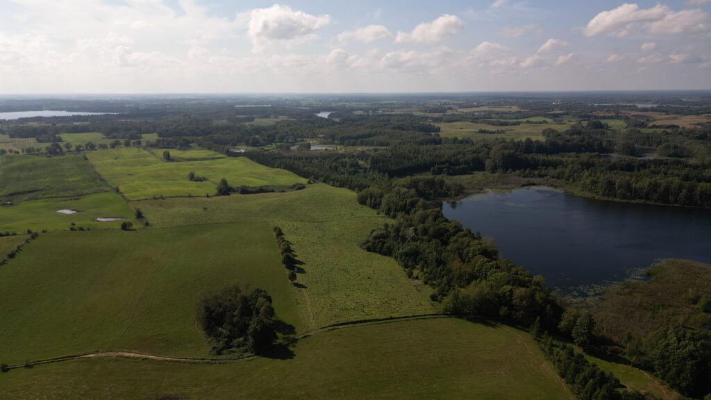 Działki na Mazurach – Elganowo, gm. Pasym, 10 ar - zdjęcie 19