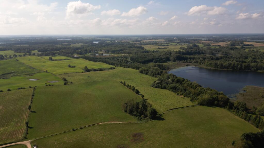 Działki na Mazurach – Elganowo, gm. Pasym, 10 ar - zdjęcie 20