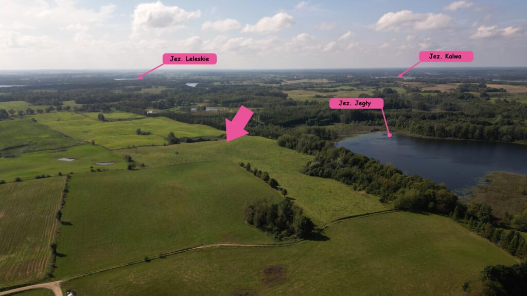 Działki na Mazurach – Elganowo, gm. Pasym, 10 ar - zdjęcie 6