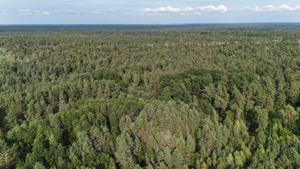 Na sprzedaż działka w Ostrowcu Św. – Las Rzeczki! - zdjęcie 5