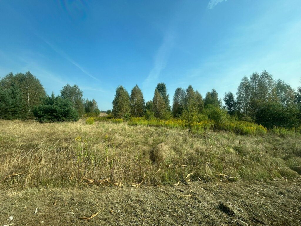 Działka w miejscowości Damianów - zdjęcie 2