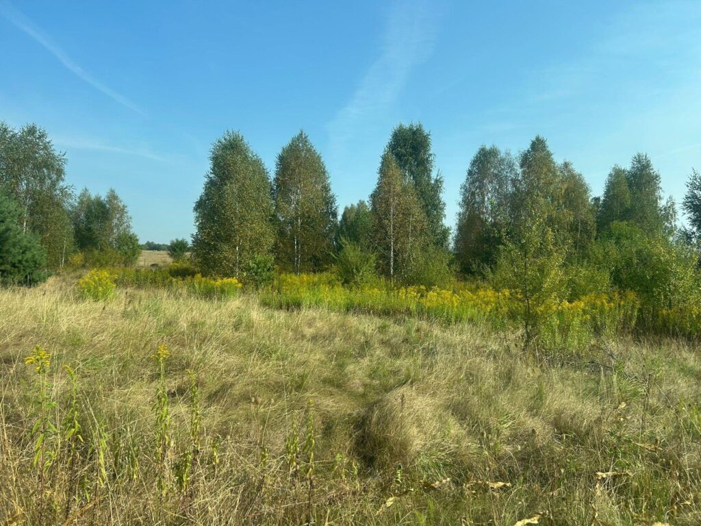 Działka w miejscowości Damianów - zdjęcie 3