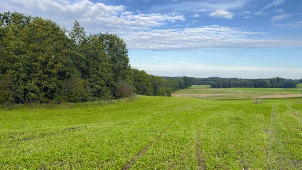 Działki budowlane Wronka k. Giżycka - zdjęcie 9