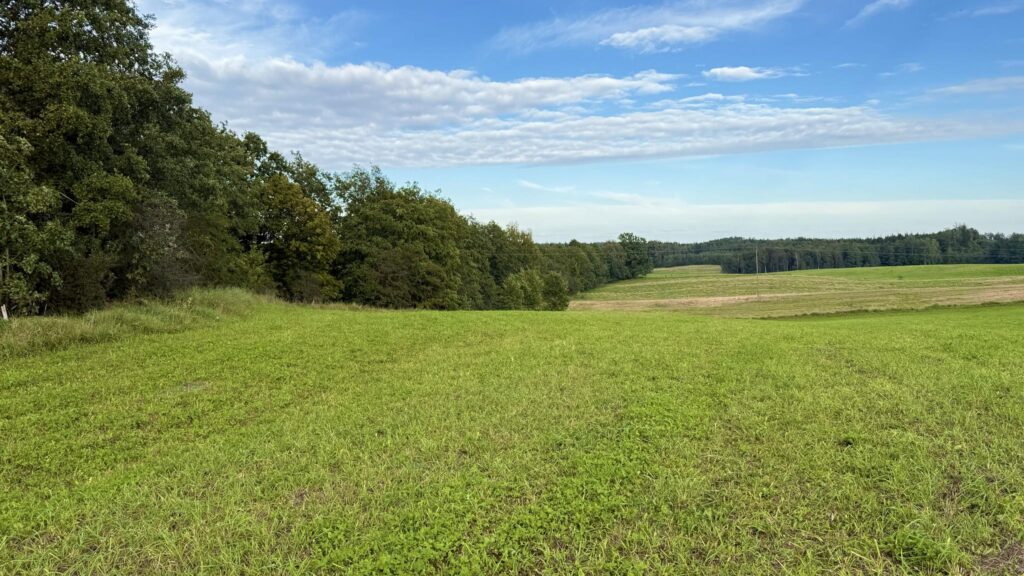 Działki budowlane Wronka k. Giżycka - zdjęcie 13