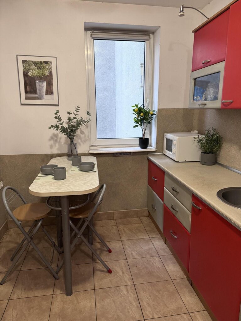 Mieszkanie inwestycyjne ! 3 Pokoje ! ul. Traugutta - zdjęcie 4