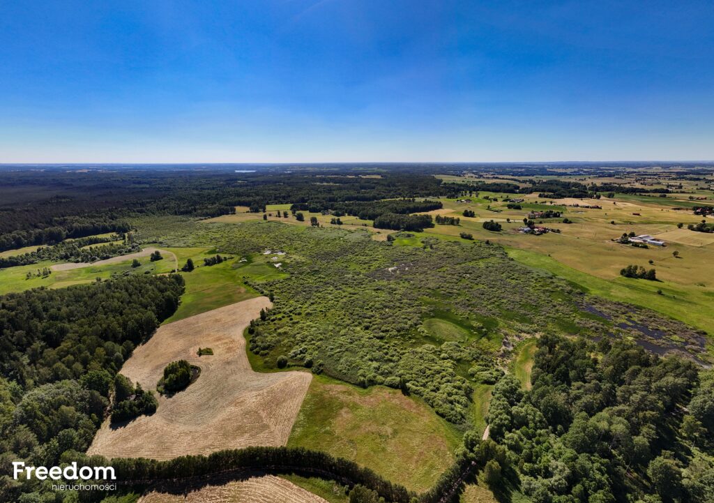 Duża działka rolna z częścią rekreacyjną - zdjęcie 9
