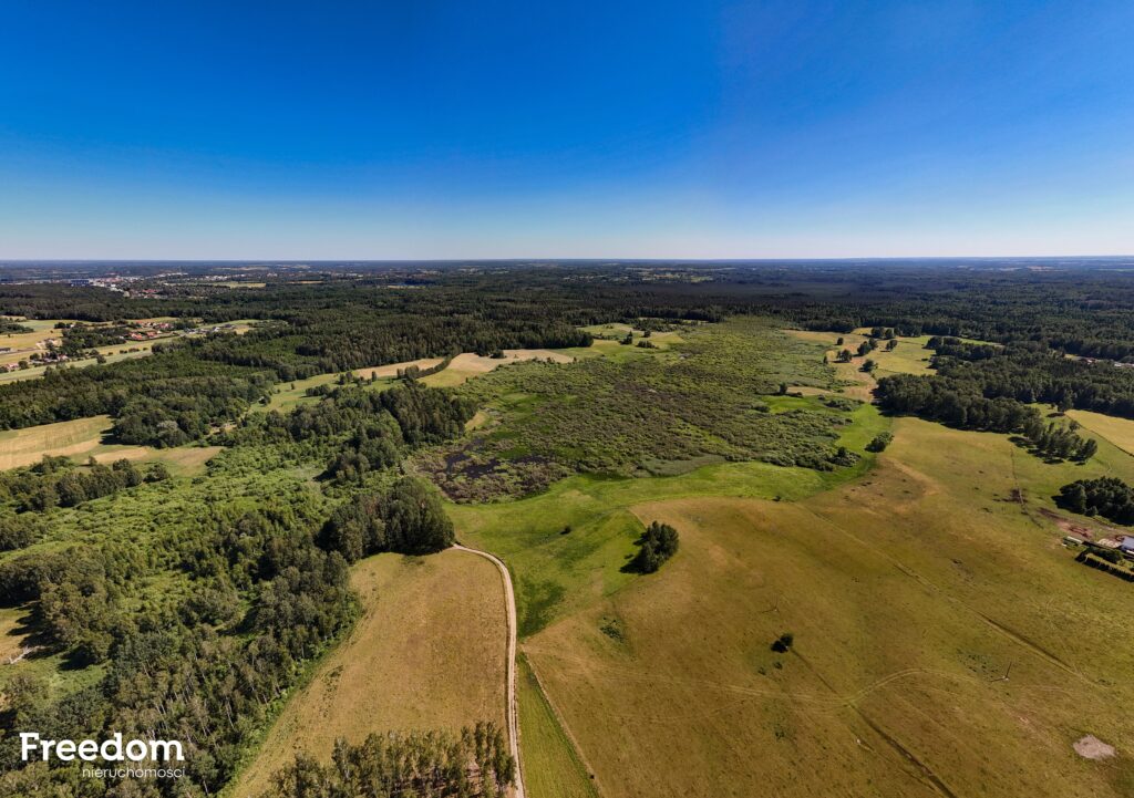 Duża działka rolna z częścią rekreacyjną - zdjęcie 10
