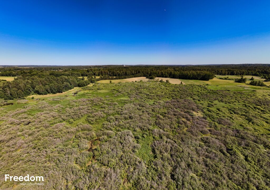Duża działka rolna z częścią rekreacyjną - zdjęcie 11