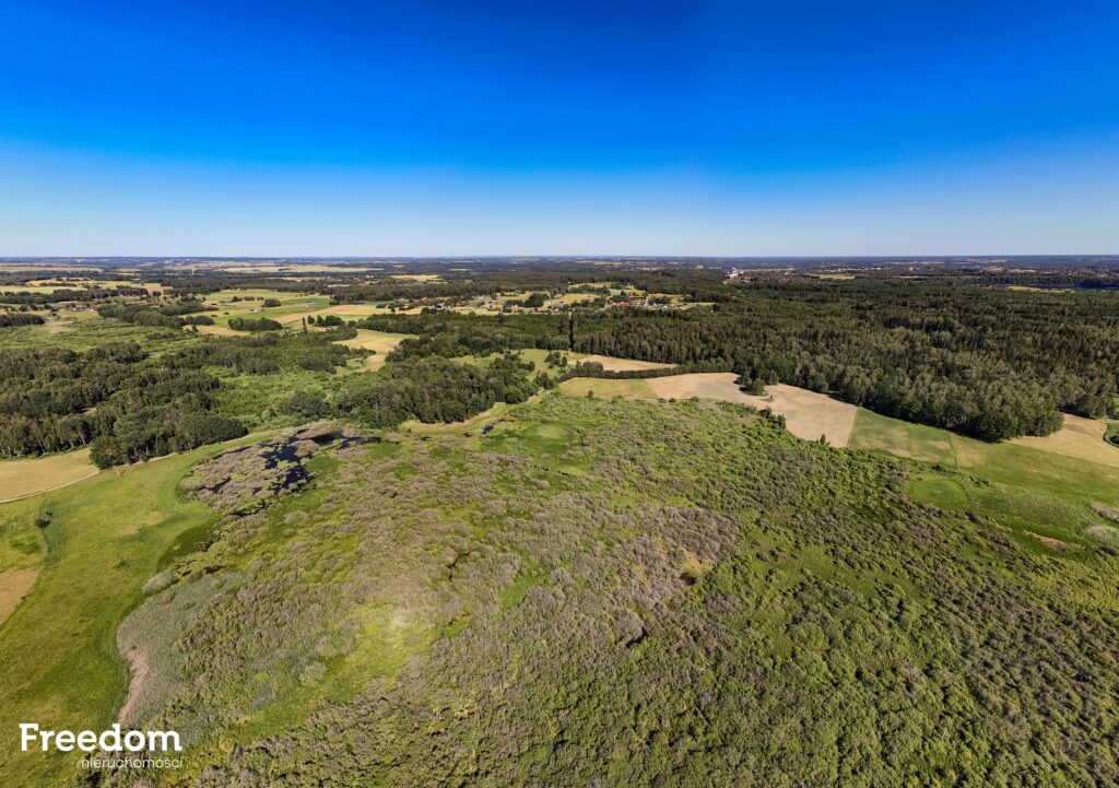Duża działka rolna z częścią rekreacyjną - zdjęcie 12