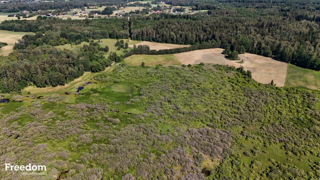 Duża działka rolna z częścią rekreacyjną - zdjęcie 13
