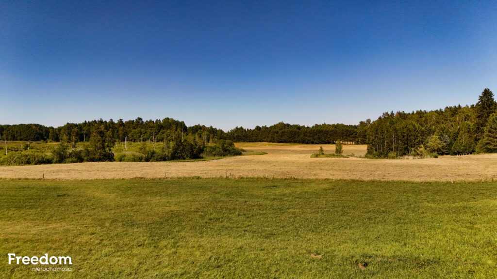 Duża działka rolna z częścią rekreacyjną - zdjęcie 8