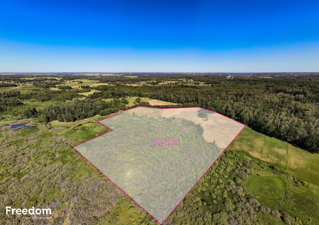 Duża działka rolna z częścią rekreacyjną - zdjęcie 1