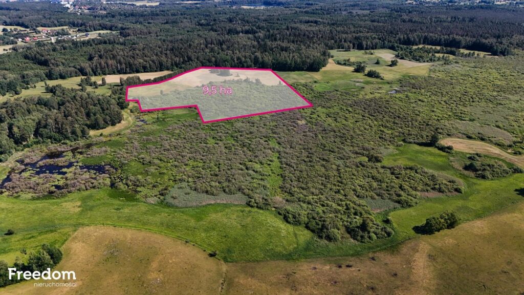 Duża działka rolna z częścią rekreacyjną - zdjęcie 2