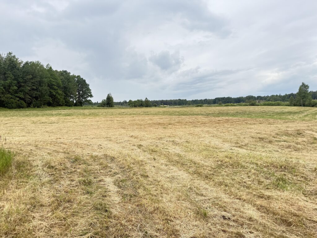 Duża działka rolna z częścią rekreacyjną - zdjęcie 7