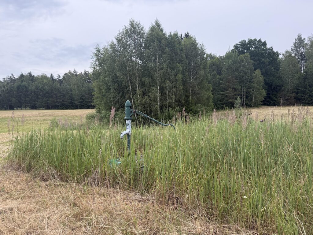 Duża działka rolna z częścią rekreacyjną - zdjęcie 6