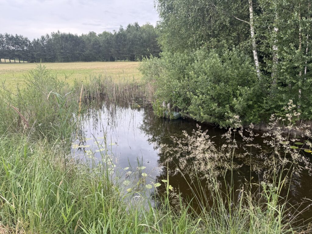 Duża działka rolna z częścią rekreacyjną - zdjęcie 5