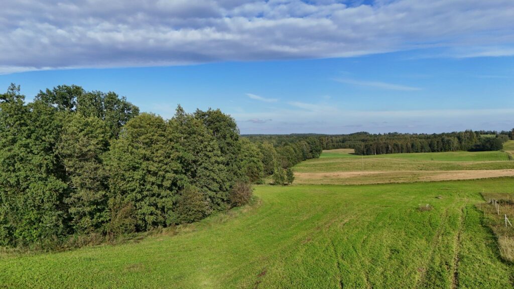 Działki budowlane Wronka k. Giżycka - zdjęcie 6