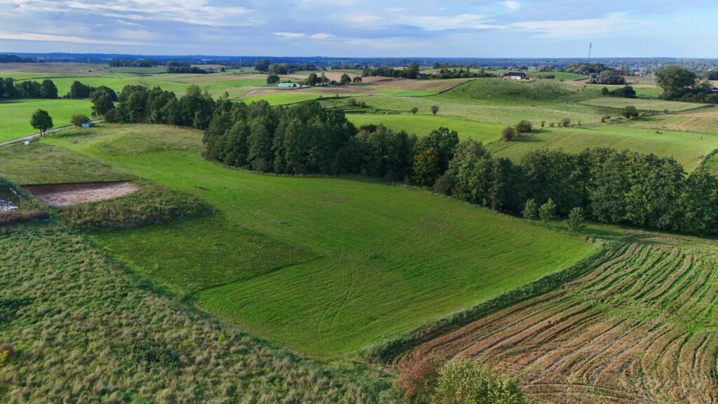 Działki budowlane Wronka k. Giżycka - zdjęcie 4
