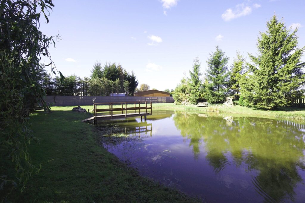 Domek z ogrodem i stawem w Suszu na sprzedaż - zdjęcie 1