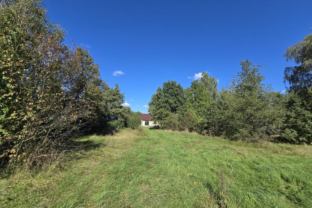 Urokliwe siedlisko nad Bugiem – Derło, gm. Rokitno - zdjęcie 6