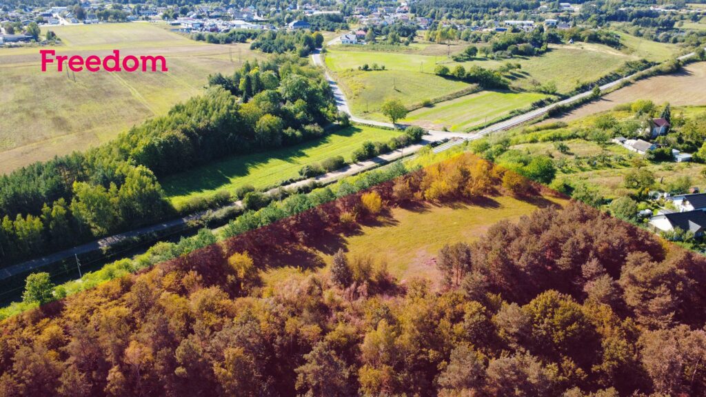 Łazieniec działka z planem i możliwością podziału - zdjęcie 6