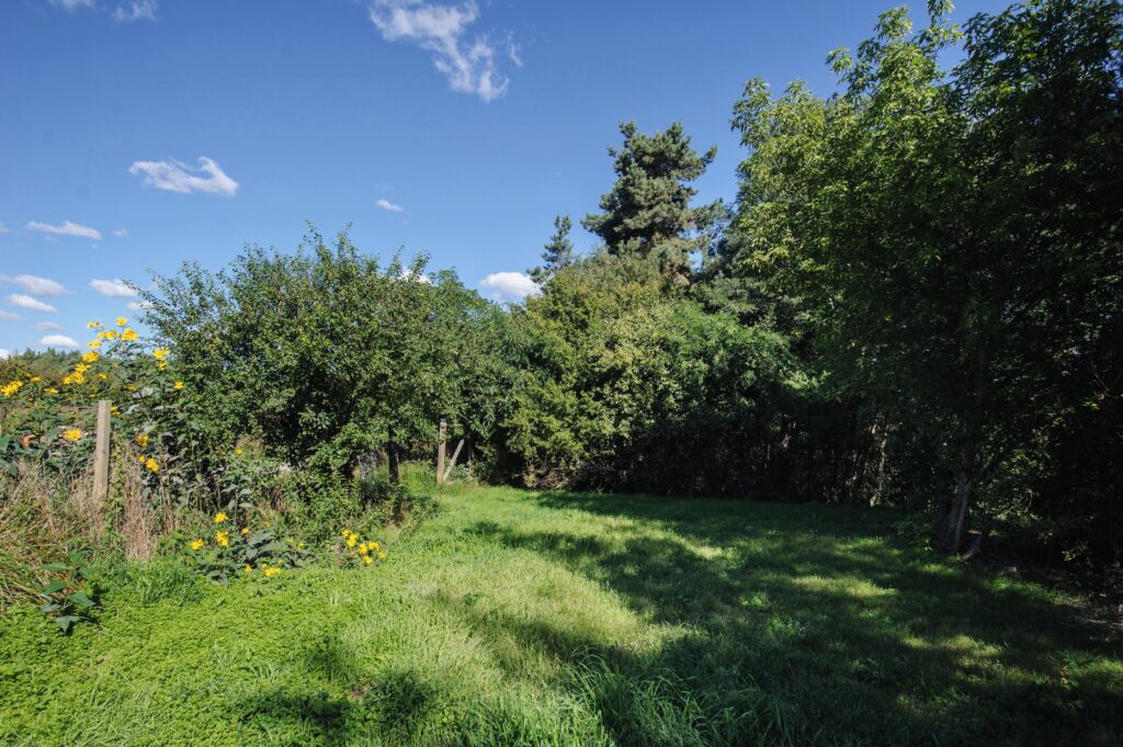 Łazieniec działka z planem i możliwością podziału - zdjęcie 8