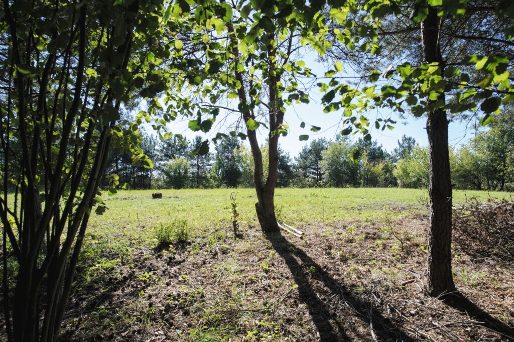 Łazieniec działka z planem i możliwością podziału - zdjęcie 10