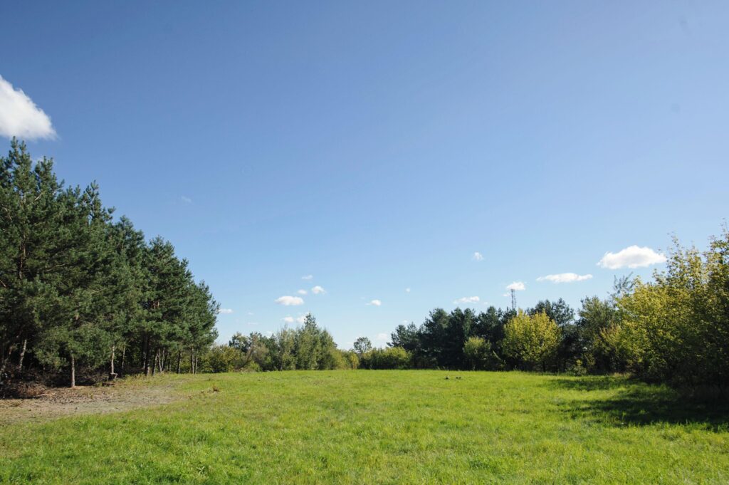 Łazieniec działka z planem i możliwością podziału - zdjęcie 2