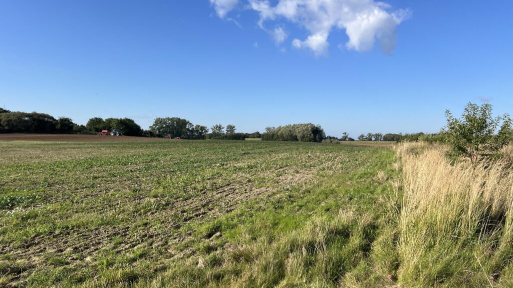 Sprzedam 10 400 2m Działki budowlane Złóż Ofertę. - zdjęcie 2