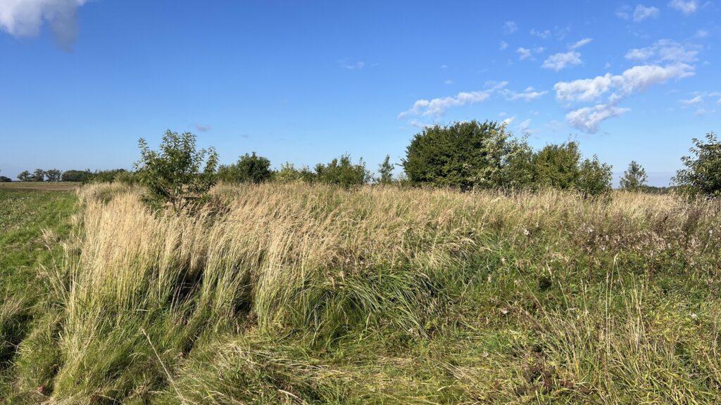 Sprzedam 10 400 2m Działki budowlane Złóż Ofertę. - zdjęcie 7