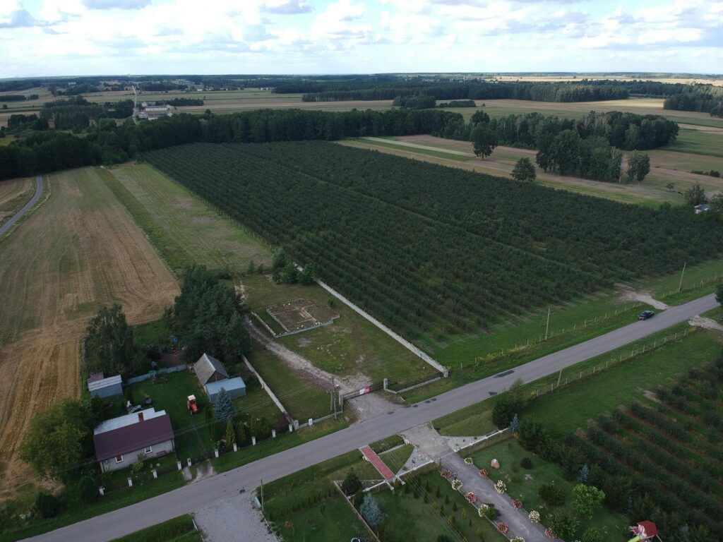 Działka,3000m2,zgoda na budowę i inne -Filipinów - zdjęcie 15