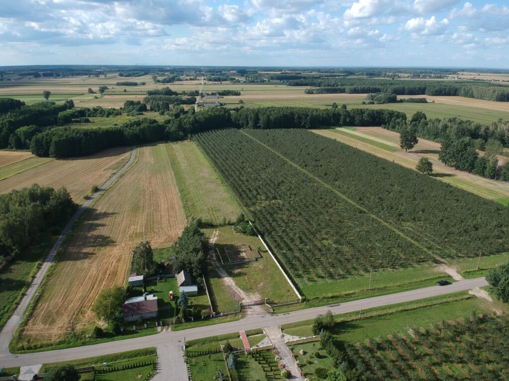 Działka,3000m2,zgoda na budowę i inne -Filipinów - zdjęcie 16