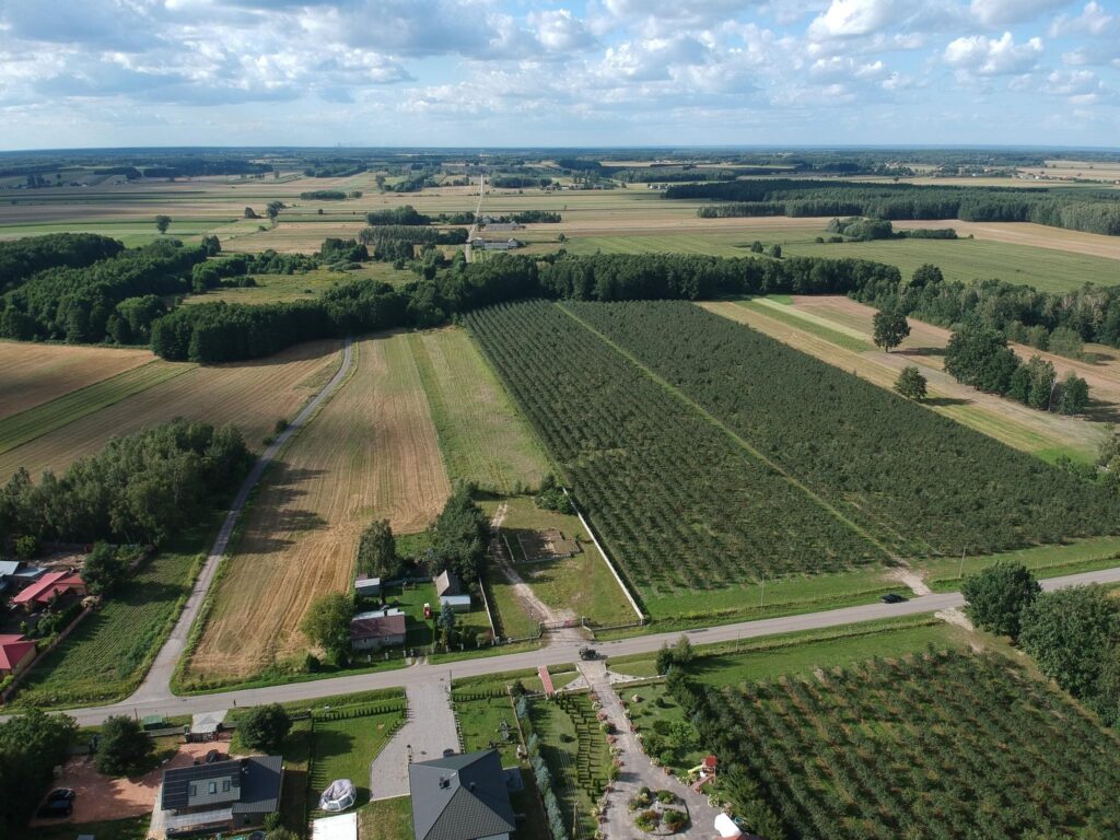 Działka,3000m2,zgoda na budowę i inne -Filipinów - zdjęcie 13