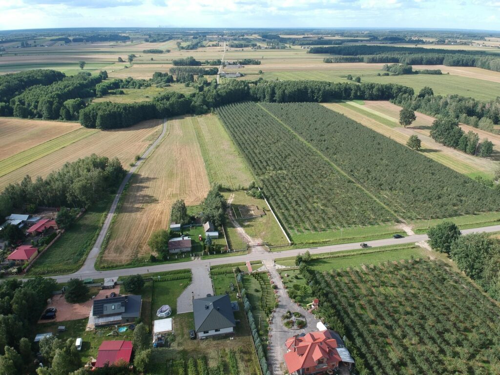 Działka,3000m2,zgoda na budowę i inne -Filipinów - zdjęcie 9