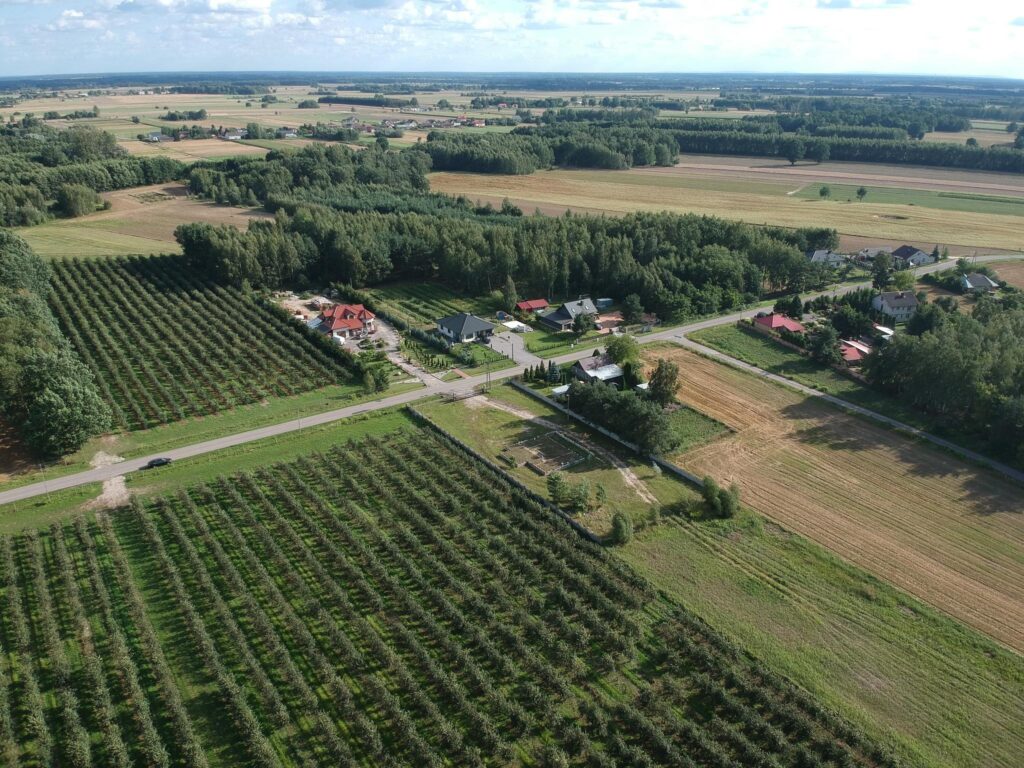 Działka,3000m2,zgoda na budowę i inne -Filipinów - zdjęcie 17