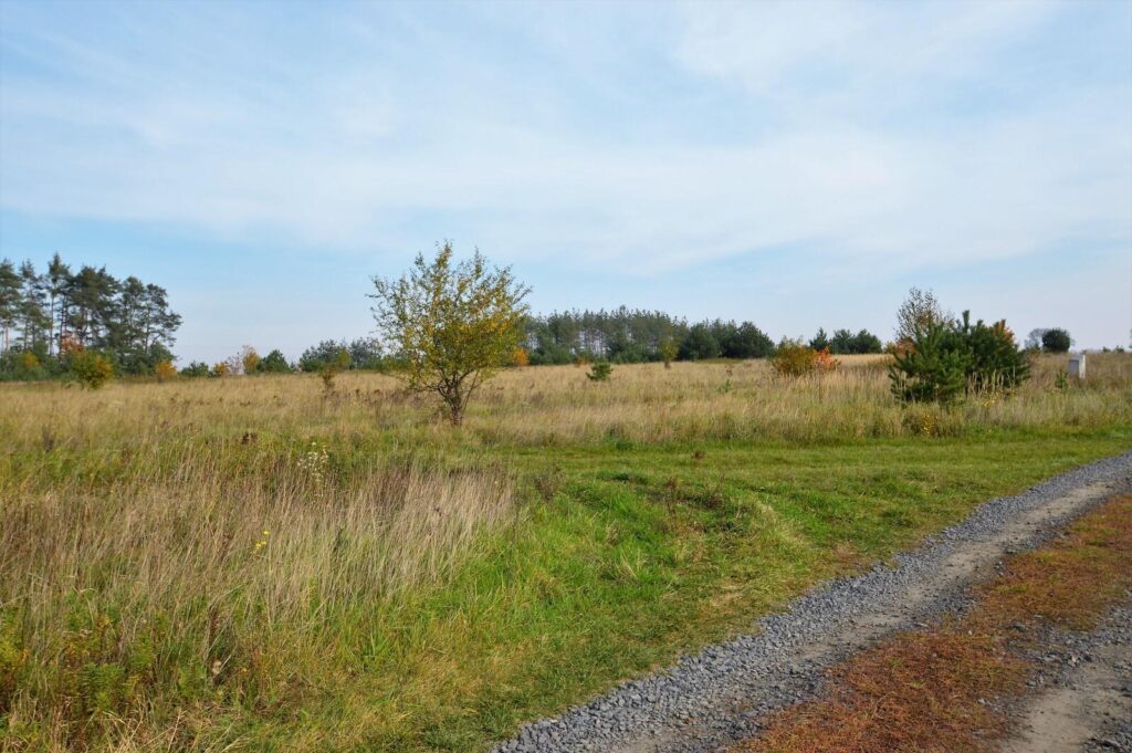 Działka budowlana. - zdjęcie 4