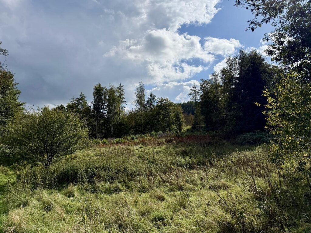 97,96 ar pod dom lub inwestycję - ul. Św. Rocha - zdjęcie 12