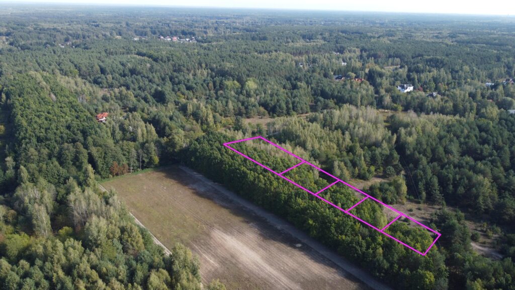 Kompleks działek budowlanych! Przy Kampinoski PN! - zdjęcie 3