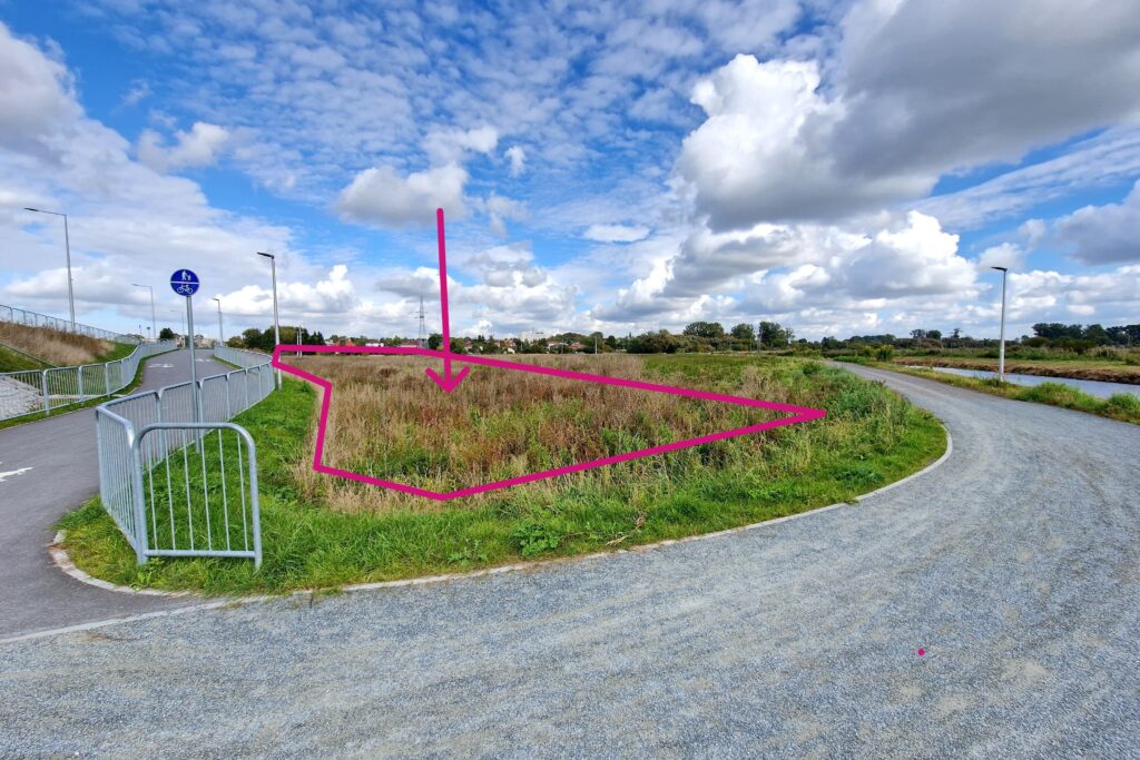 Duża łąka nad Krzną przy nowym moście i ścieżce - zdjęcie 7