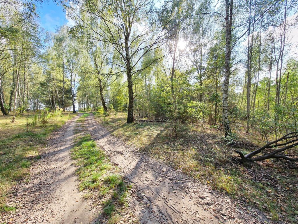 Działka pod dom lub bliźniaki obok os. Relax - zdjęcie 5