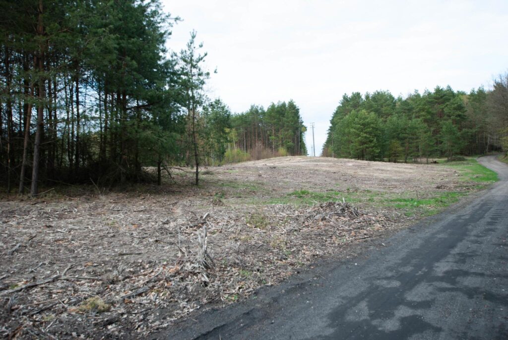 Działka budowlana przy stoku w Chodzieży - zdjęcie 4