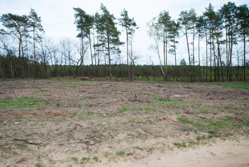 Działka budowlana przy stoku w Chodzieży - zdjęcie 5