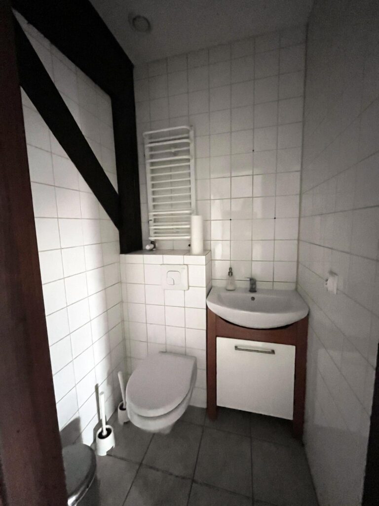 Loft w centrum miasta - pod usługi i mieszkania - zdjęcie 13