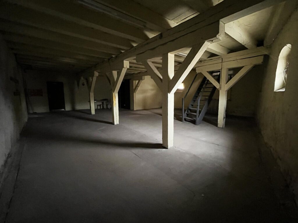 Loft w centrum miasta - pod usługi i mieszkania - zdjęcie 17